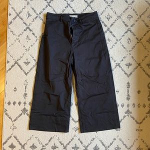 Everlane Wide Leg Black Pant in Cotton